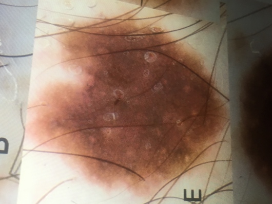 ribeiro clínica dermatológica - Image 6