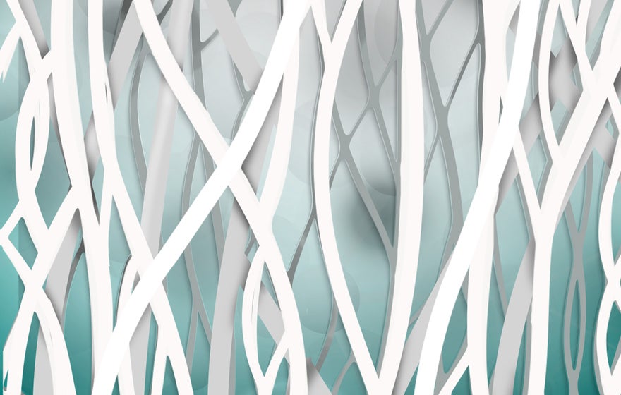 Article: Collagen