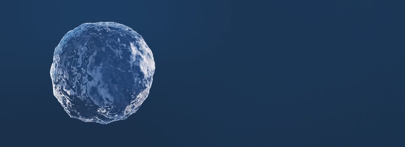 NASHA® HD™ Mimicking bone structure