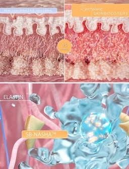 Restoring hydration and skin  quality from within